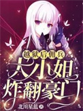 佣兵大小姐下载
